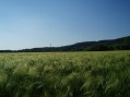 oberhalb von Gladbach
