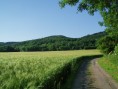oberhalb von Gladbach